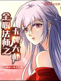 Versatile Mage: Card Master