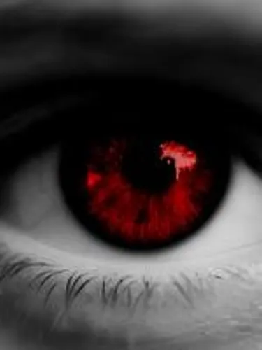 Vampire in the Harry Potter World