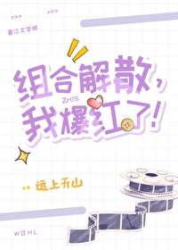 The Group Disbanded, and I Skyrocketed to Fame!