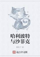 Harry Potter and Shafik