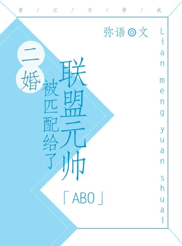 Second Marriage with the Alliance Marshal