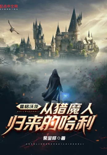 Hogwarts: Harry Returns From The Witcher