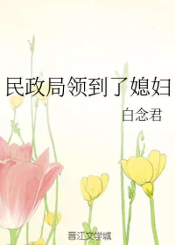 Received a Wife From the Civil Affairs Bureau