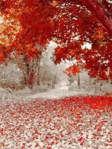 Roll the Dice on Fate