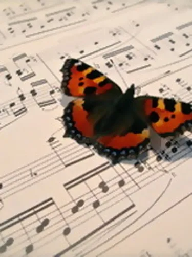 Looking Straight to the Sky