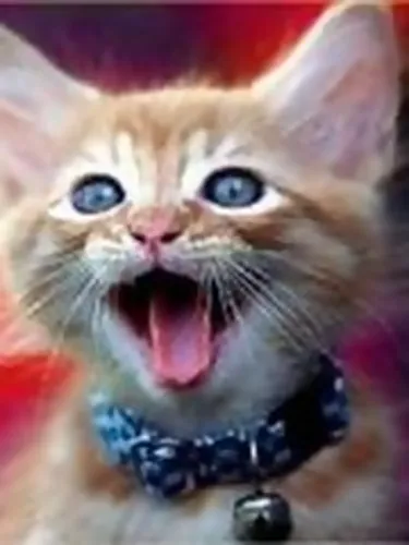 Pinwheels of Red and Black