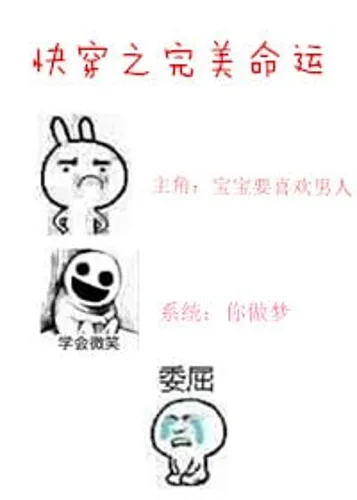 Perfect Destiny