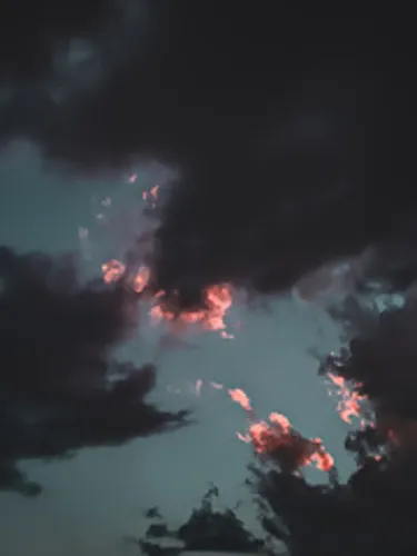 Champions, Kings, and Other Radish Varieties