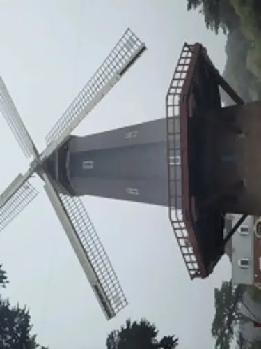 Where You Once Belonged