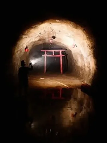 Dark Side of Wonderland